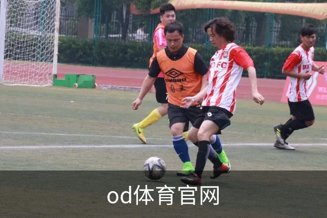 od体育官网公司简介